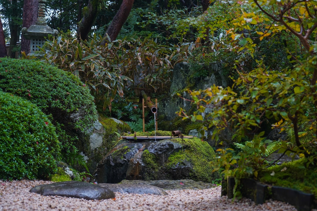 Jardin zen avec eau et mousse, ambiance calme — photo Yosuke Ota / Unsplash